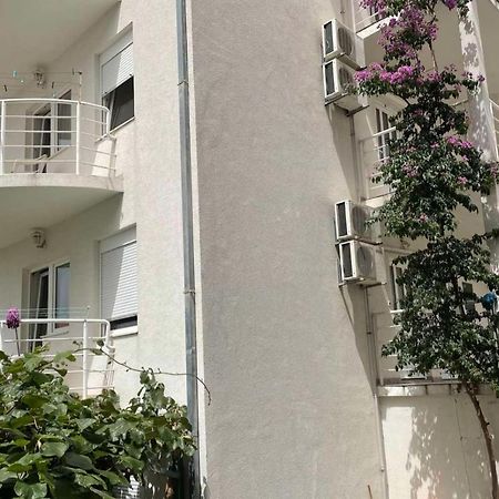 Apartments Papic 特罗吉尔 外观 照片